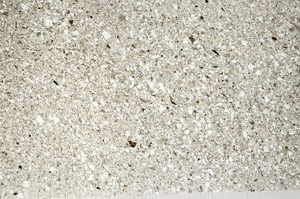 Plane Polarized, S76591