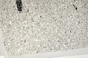 Plane Polarized, S76592