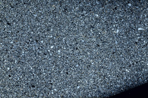 Cross Polarized, S76595