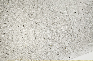 Plane Polarized, S76595