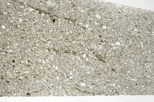 Plane Polarized, S76596