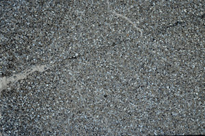 Cross Polarized, S76597