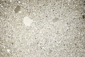 Plane Polarized, S76598