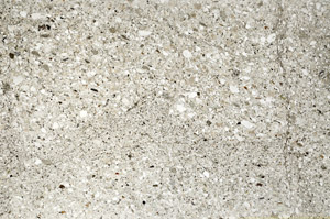 Plane Polarized, S76599