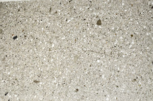 Plane Polarized, S76600