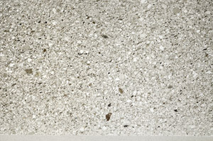 Plane Polarized, S76604