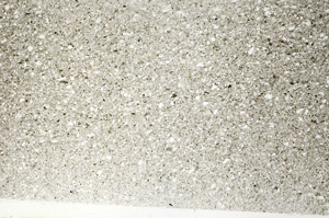 Plane Polarized, S76610