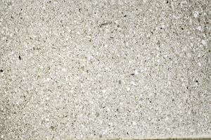 Plane Polarized, S76611