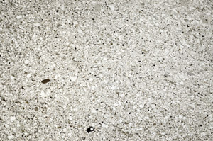 Plane Polarized, S76615