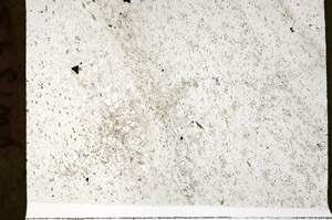 Plane Polarized, S76720