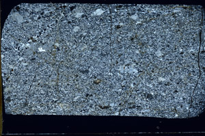 Cross Polarized, S76786