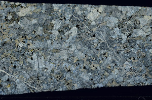 Cross Polarized, S76787