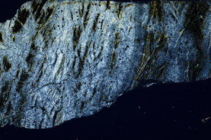 Cross Polarized, S76799