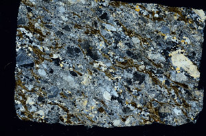 Cross Polarized, S76812