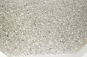 Plane Polarized, S76939