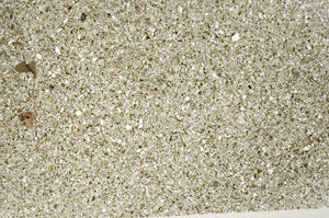 Plane Polarized, S76956