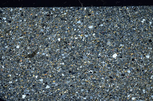 Cross Polarized, S76959