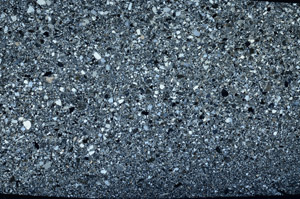 Cross Polarized, S76976