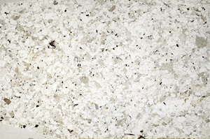 Plane Polarized, S77003