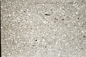 Plane Polarized, S77025