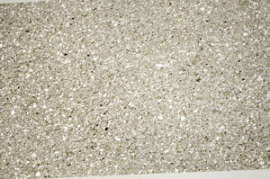 Plane Polarized, S77027