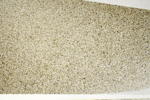 Plane Polarized, S77059