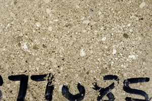 Plane Polarized, S77085