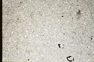 Plane Polarized, S77172