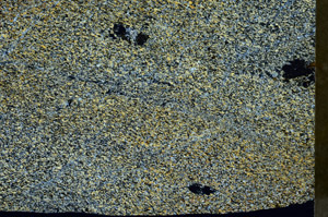 Cross Polarized, S77203