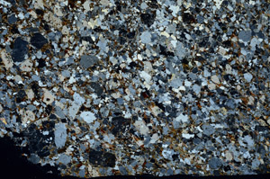 Cross Polarized, S77209