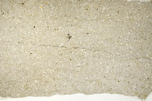 Plane Polarized, S77214