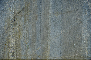 Cross Polarized, S77290