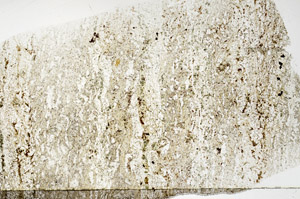 Plane Polarized, S77302