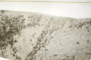 Plane Polarized, S77412