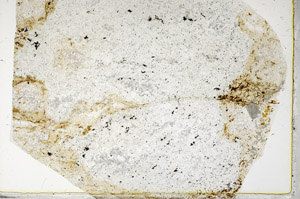 Plane Polarized, S77435