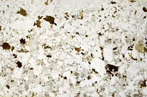 Plane Polarized, S77472