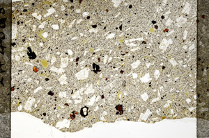 Plane Polarized, S77526