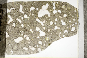 Plane Polarized, S77542