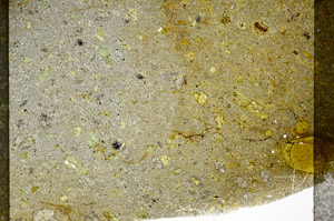 Plane Polarized, S77593