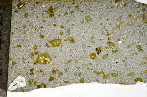 Plane Polarized, S77597