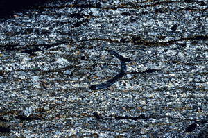 Cross Polarized, S77613