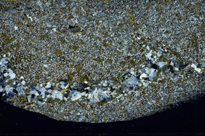 Cross Polarized, S77614