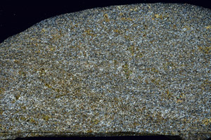 Cross Polarized, S77617