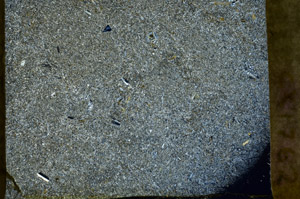 Cross Polarized, S77626