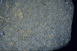 Cross Polarized, S77628