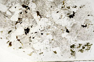 Plane Polarized, S77638
