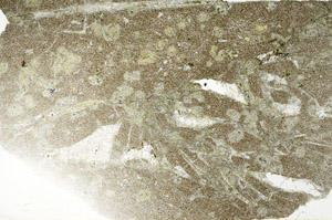 Plane Polarized, S77643