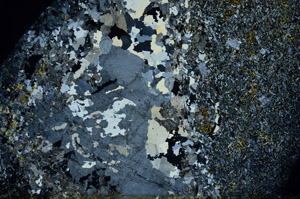 Cross Polarized, S77645