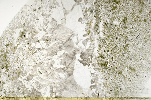 Plane Polarized, S77645