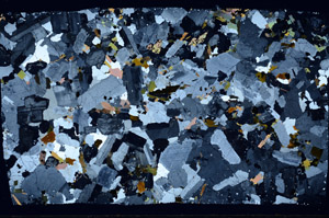 Cross Polarized, S77654/A
